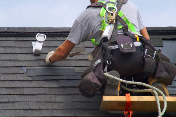 Best Roof Gutter Cleaning  in Lake Sconsin, WI
